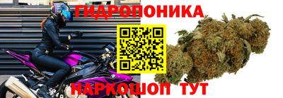 альфа пвп Пушкино