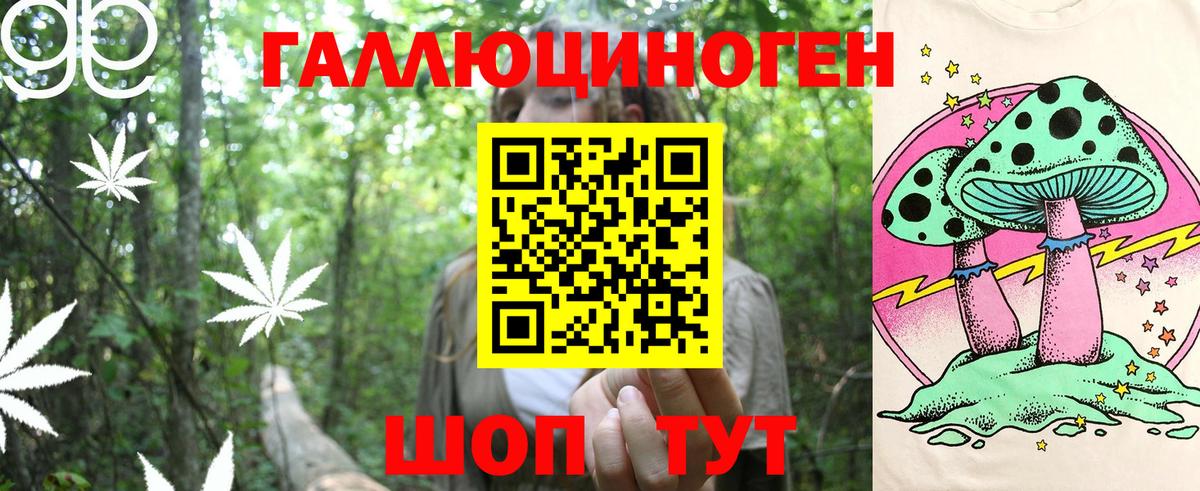 купить наркоту  Псилоцибиновые грибы MAGIC MUSHROOMS  Вход с VPN  Саров 